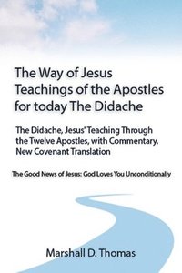 bokomslag The Way of Jesus - Teachings of the Apostles for today