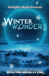 bokomslag Winter Wonders