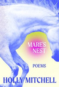 bokomslag Mare's Nest