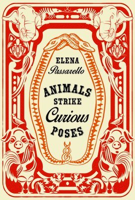 Animals Strike Curious Poses 1