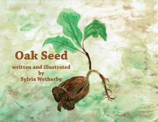 Oak Seed 1