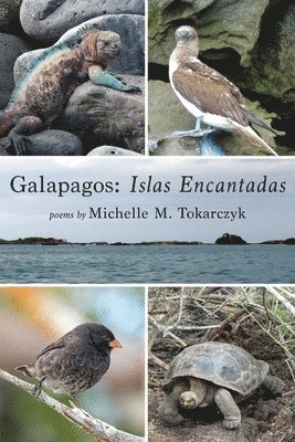 bokomslag Galapagos