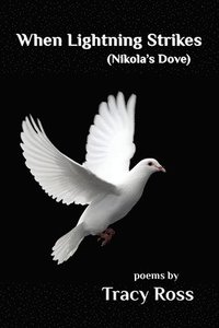 bokomslag When Lightning Strikes (Nikolas's Dove)
