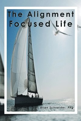 bokomslag Alignment Focused Life