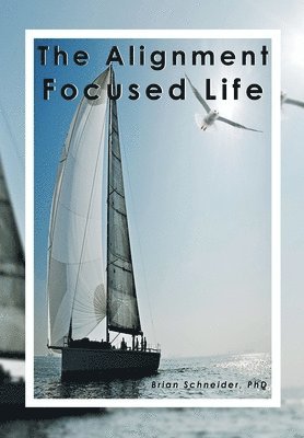 bokomslag Alignment Focused Life