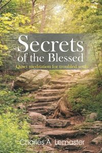 bokomslag Secrets of the Blessed