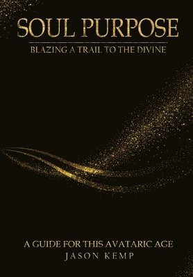 bokomslag Soul Purpose