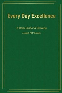 bokomslag Every Day Excellence