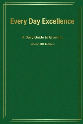 bokomslag Every Day Excellence