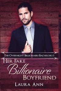 bokomslag Her Fake Billionaire Boyfriend