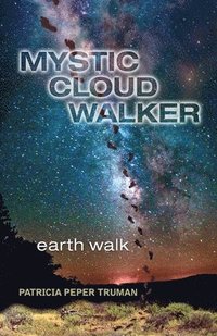 bokomslag Mystic Cloud Walker
