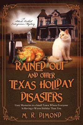 bokomslag Rained Out and Other Texas Holiday Disasters