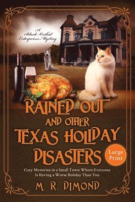 bokomslag Rained Out and Other Texas Holiday Disasters