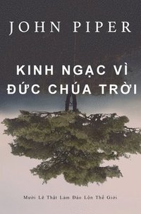 bokomslag Kinh ng&#7841;c v &#272;&#7913;c Cha Tr&#7901;i