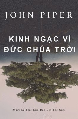 John Piper - Kinh ngạc vì Đức Chúa Trời, Häftad