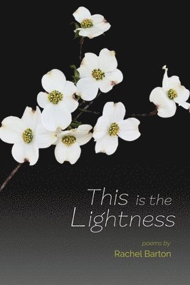 This Is the Lightness 1
