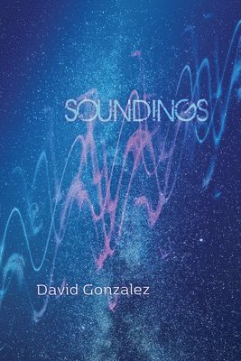 David Gonzalez - Soundings, Häftad