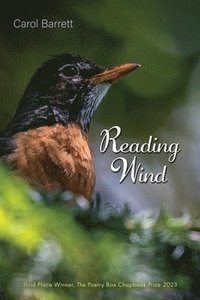 bokomslag Reading Wind