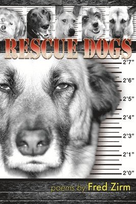 Rescue Dogs 1