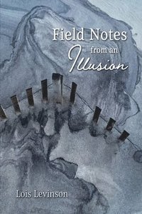 bokomslag Field Notes from an Illusion