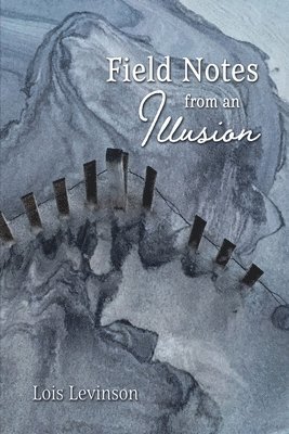 bokomslag Field Notes from an Illusion