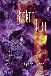 bokomslag Broken Open