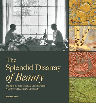 bokomslag The Splendid Disarray of Beauty