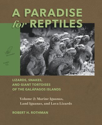 bokomslag A Paradise for Reptiles: Lizards, Snakes, and Giant Tortoises of the Galápagos Islands, Volume 2: Marine Iguanas, Land Iguanas, and Lava Lizards Volum