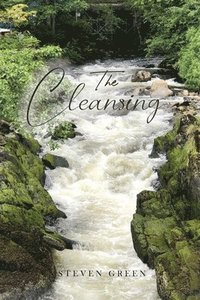 bokomslag The Cleansing
