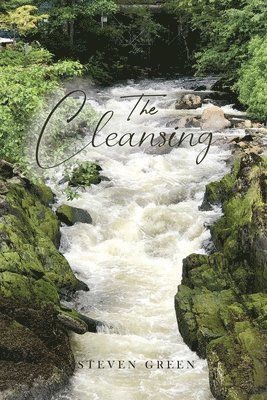 The Cleansing 1