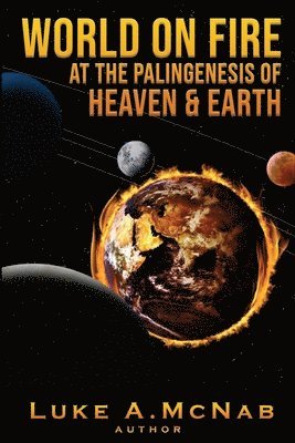 World on Fire at the Palingenesis of Heaven & Earth 1