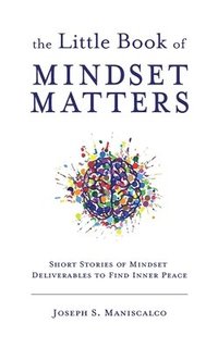 bokomslag Little Book of Mindset Matters