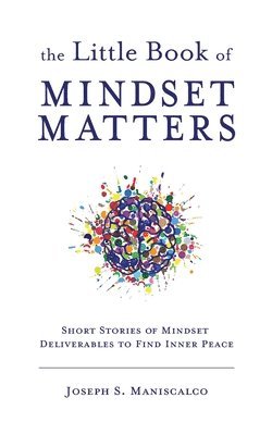 bokomslag Little Book of Mindset Matters