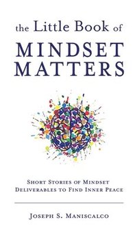 bokomslag Little Book of Mindset Matters