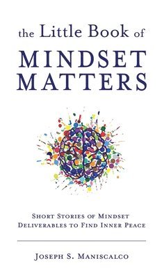bokomslag Little Book of Mindset Matters