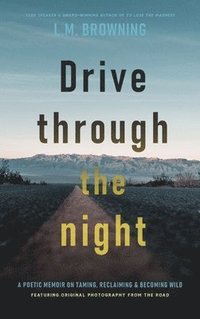 bokomslag Drive Through the Night