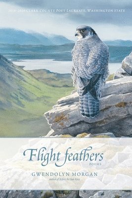 Flight Feathers 1