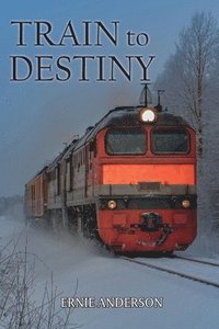 bokomslag Train to Destiny