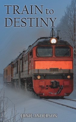 bokomslag Train to Destiny