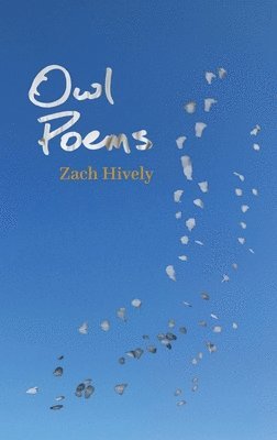 bokomslag Owl Poems