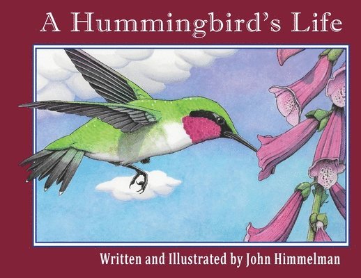 A Hummingbird's Life 1