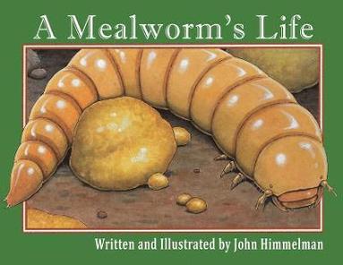 John Himmelman - Mealworm's Life, Häftad