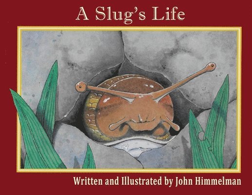 A Slug's Life 1