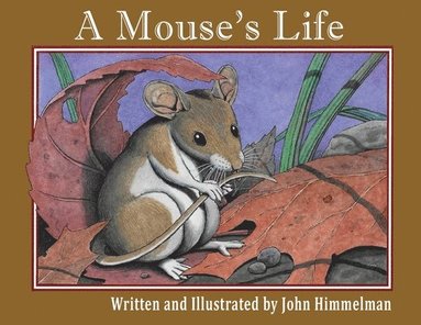 bokomslag A Mouse's Life