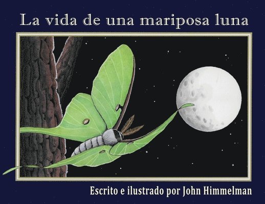 La vida de una mariposa luna 1