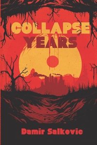 bokomslag Collapse Years