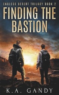 bokomslag Finding the Bastion