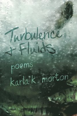 Karla K Morton - Turbulence & Fluids, Häftad