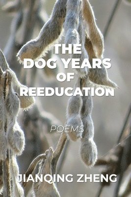 bokomslag The Dog Years of Reeducation