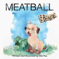 bokomslag Meatball and Birdie
